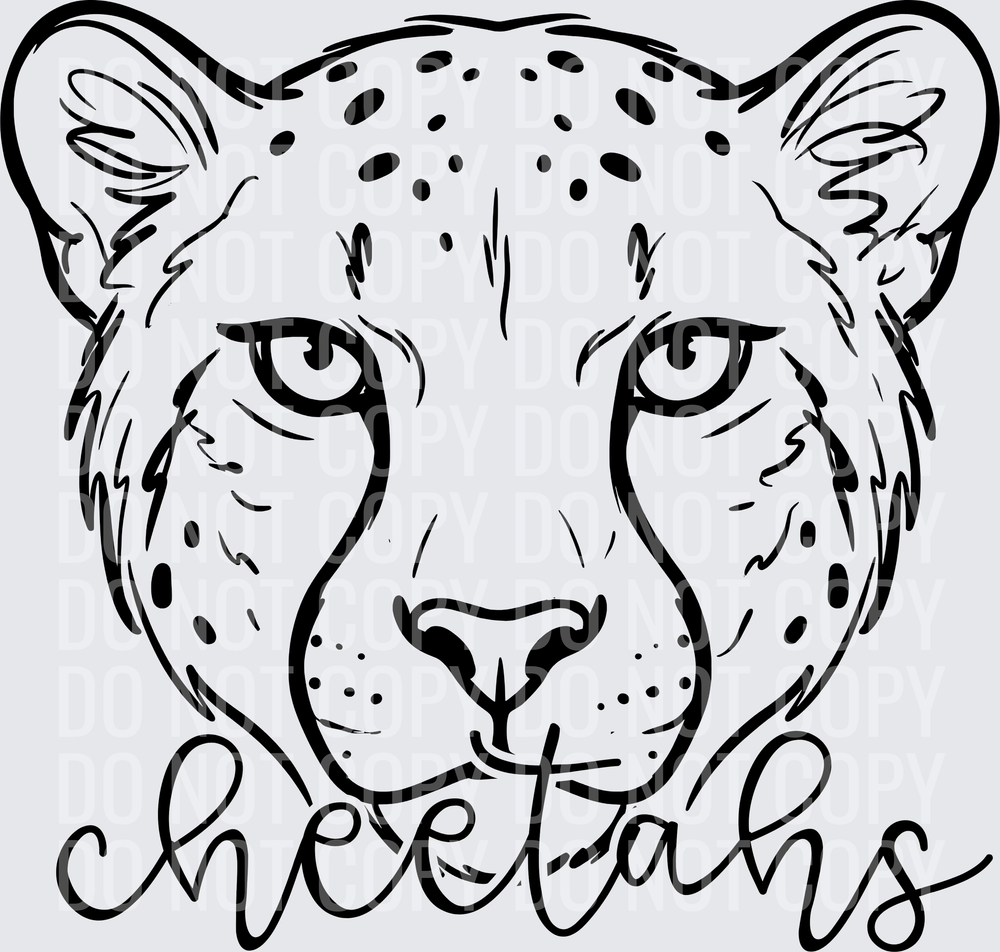 cheetahs-BLACK-3600px