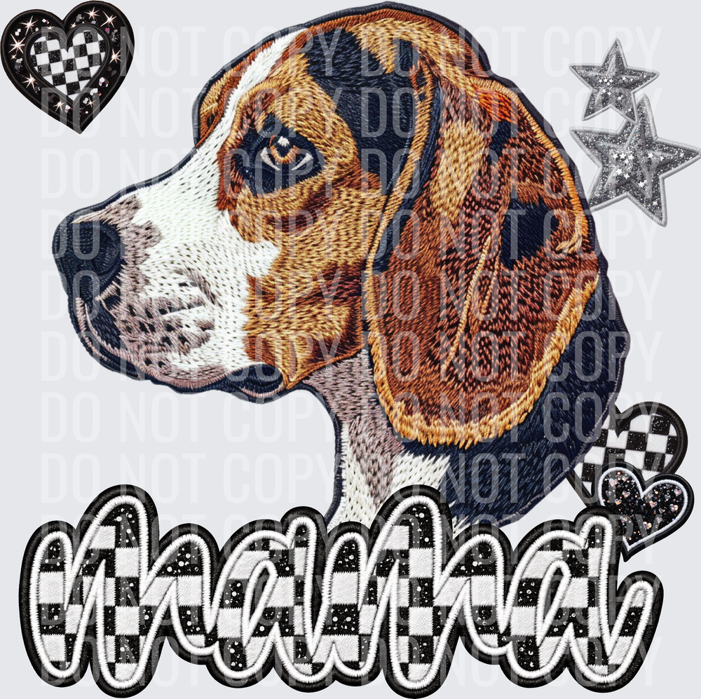 Beagle1