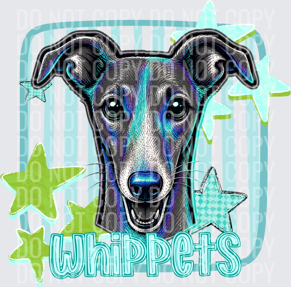 WHIPPETS