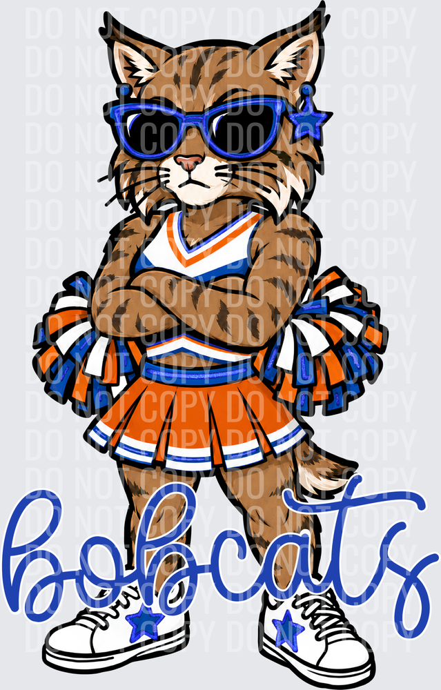 Bobcats Cheer Orange Blue