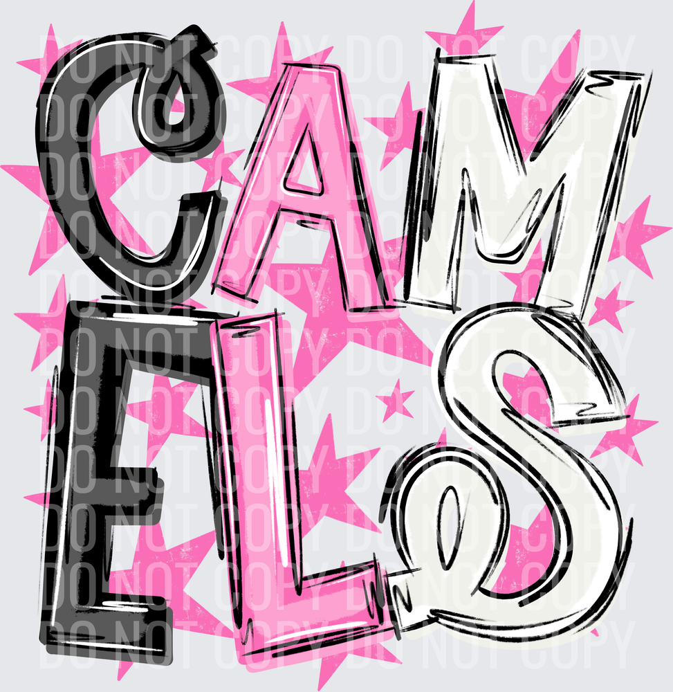 CAM-ELS