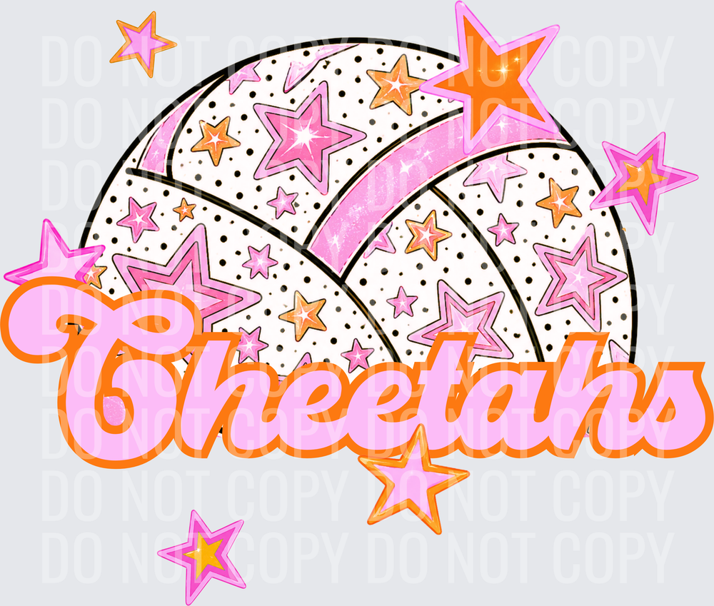 CHEETAHS