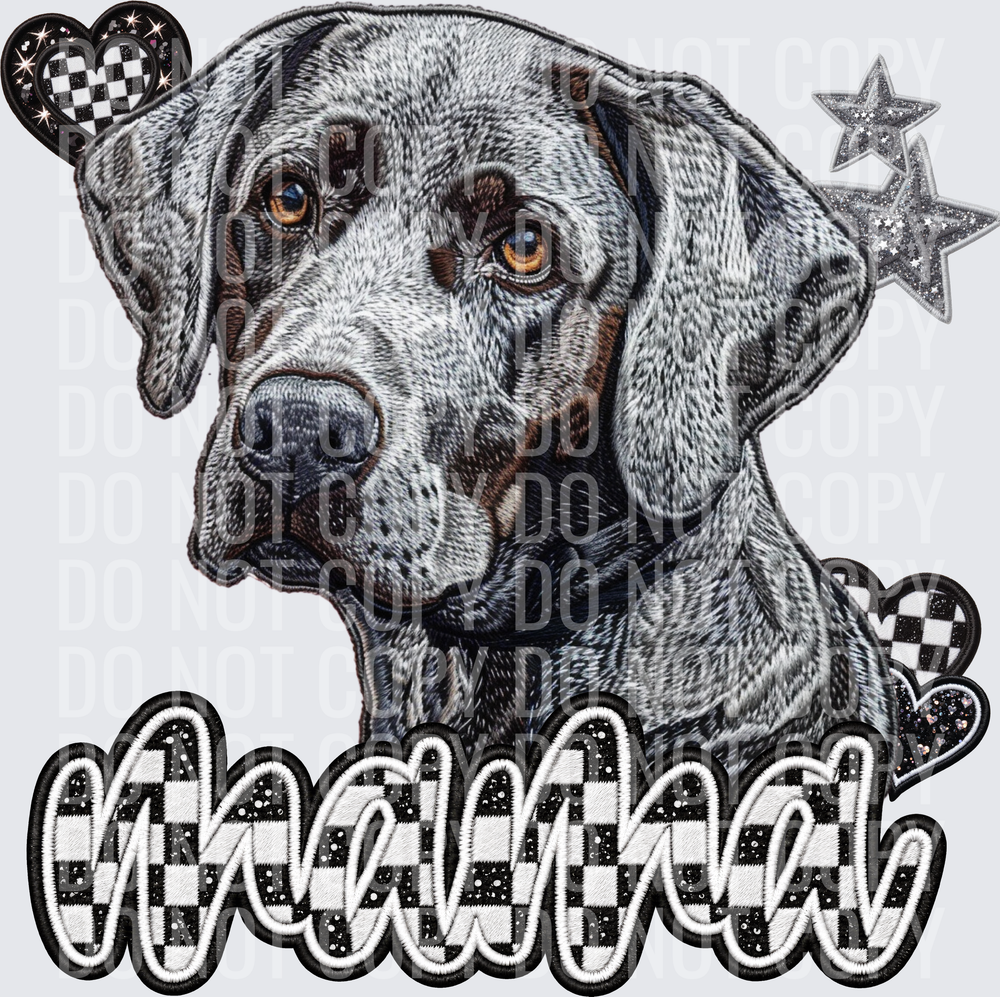 Silver Lab Dog