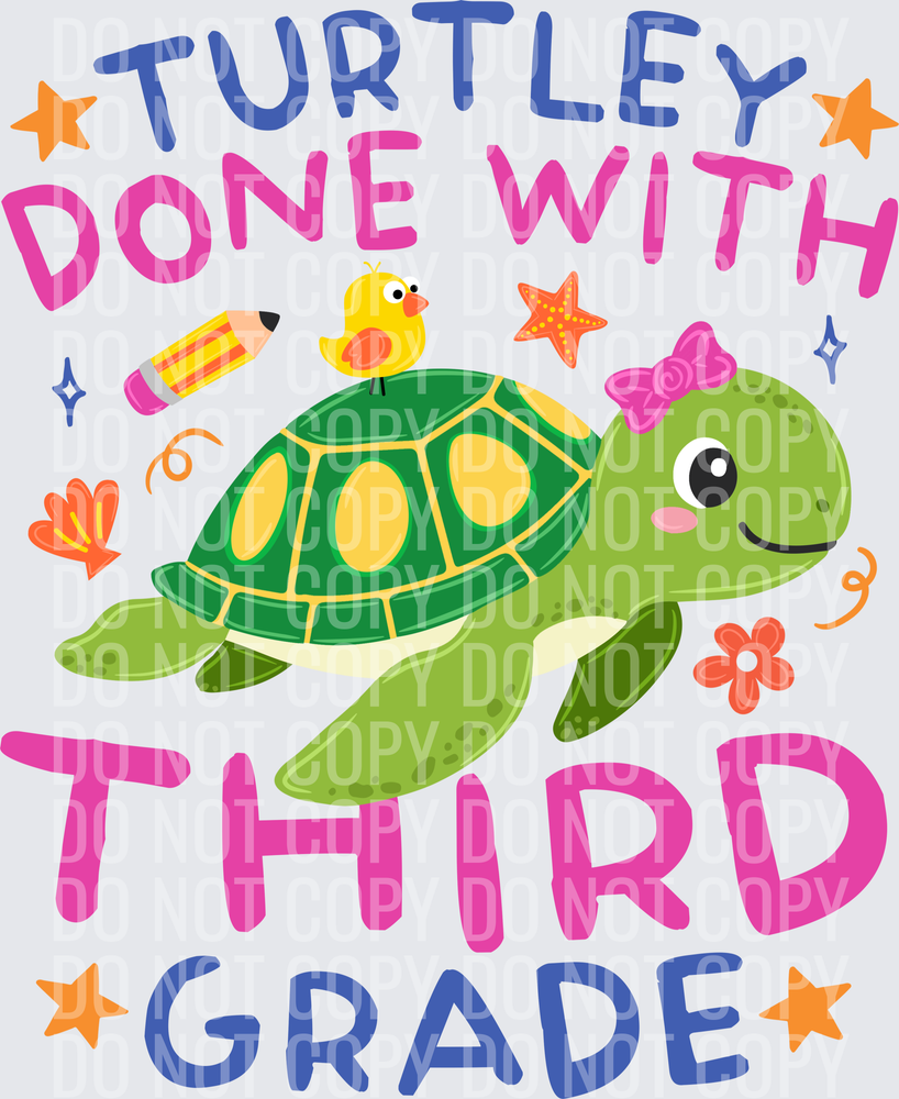 Turtle Third Grade