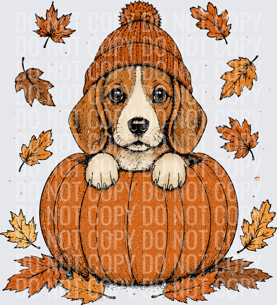 Beagle Pumpkin