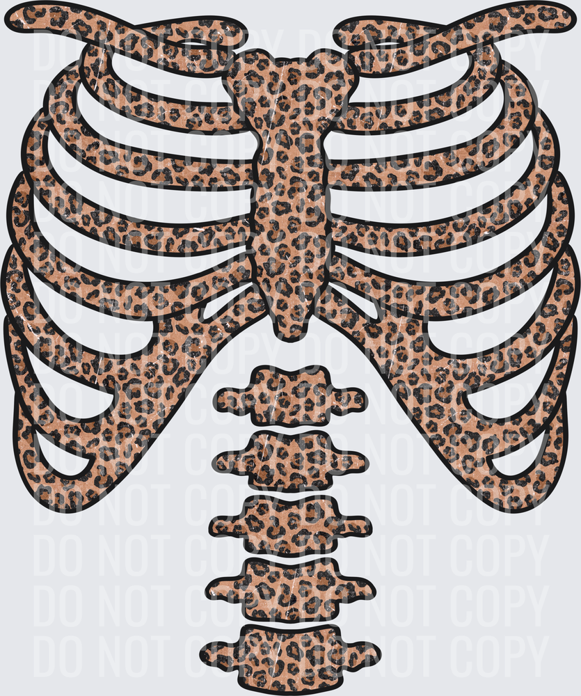 Cheetah skeleton front