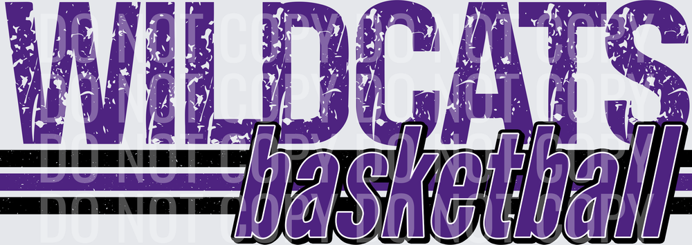 wildcats3