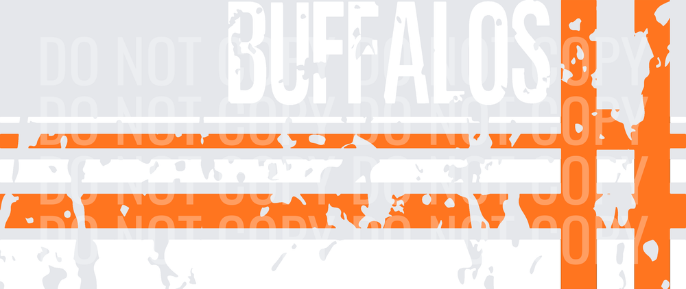 H BUFFALOS