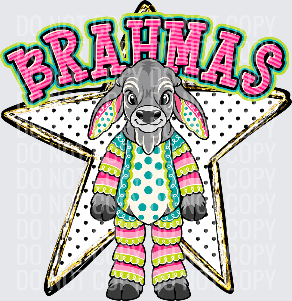 KayndiDesigns 10.26 Pattern Parade Star Brahmas
