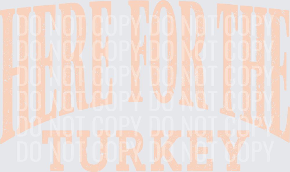 HERE FOR THE TURKEY