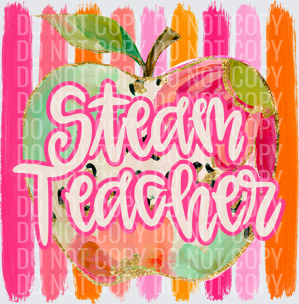 STEAM TEACHER