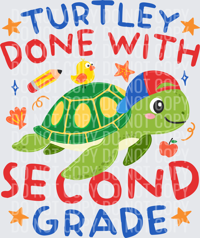 Boy Turtle Second
