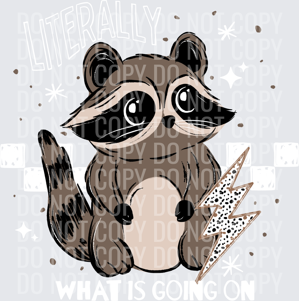 What_Is_Going_On_Raccoon_White_