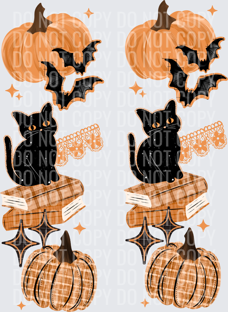 Black_Cat_Books_Sleeve