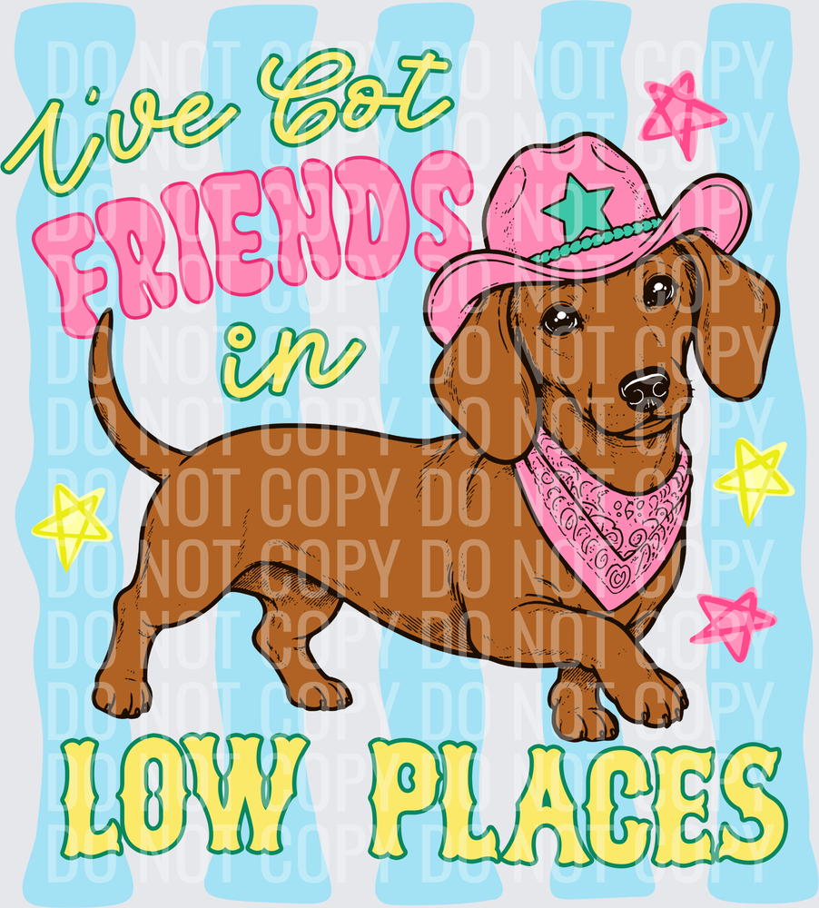 Ive Got Friends in Low Places