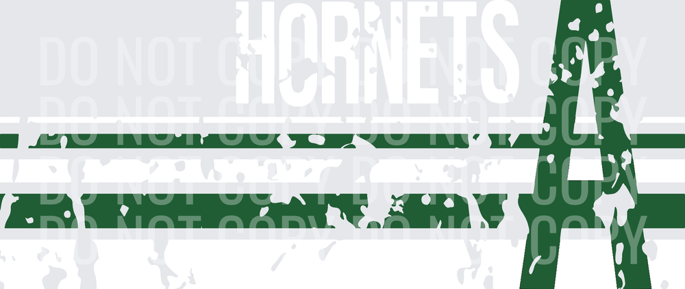 A HORNETS