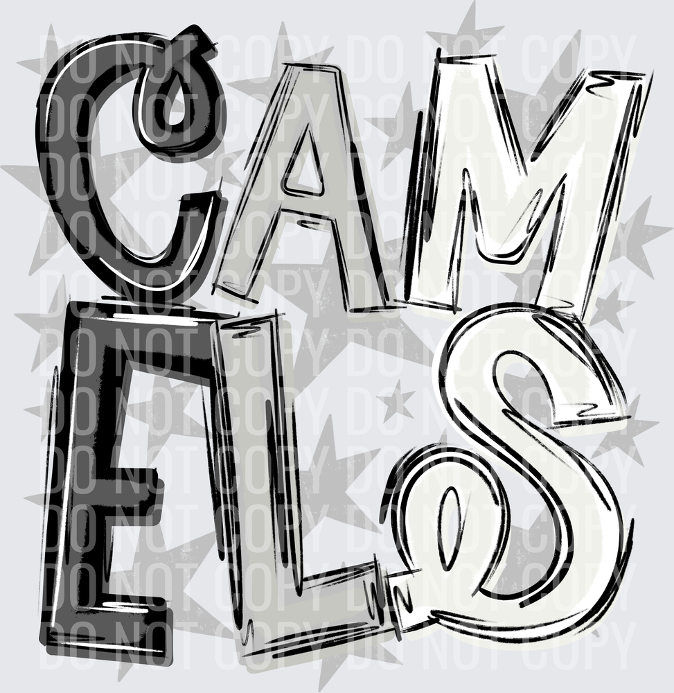CAM-ELS