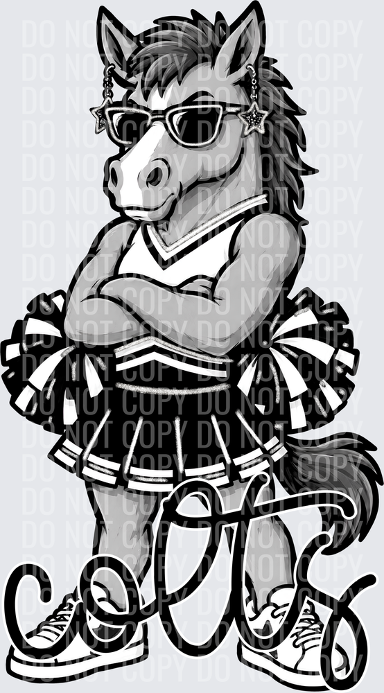 Colts Cheer Black White