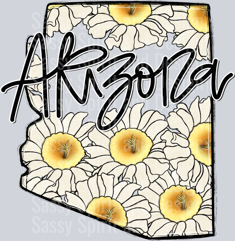 ARIZONA WHIMSY STATES