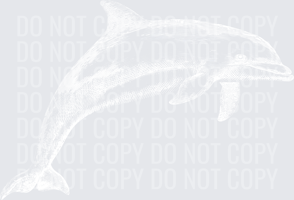 DOLPHIN SKETCH